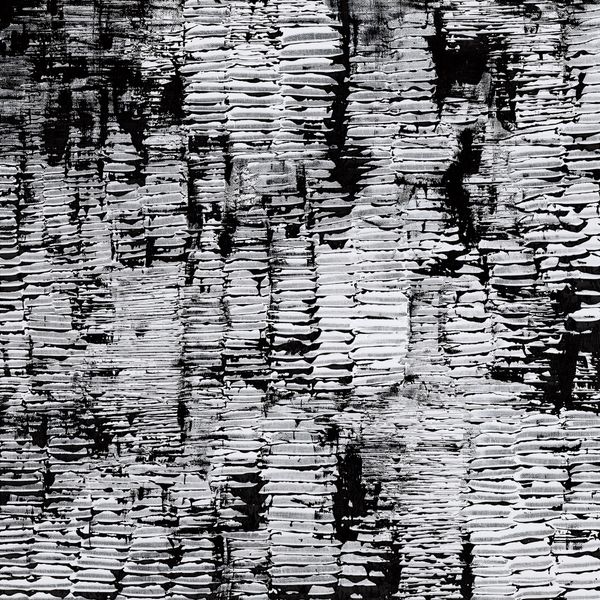 Study In Black No.4