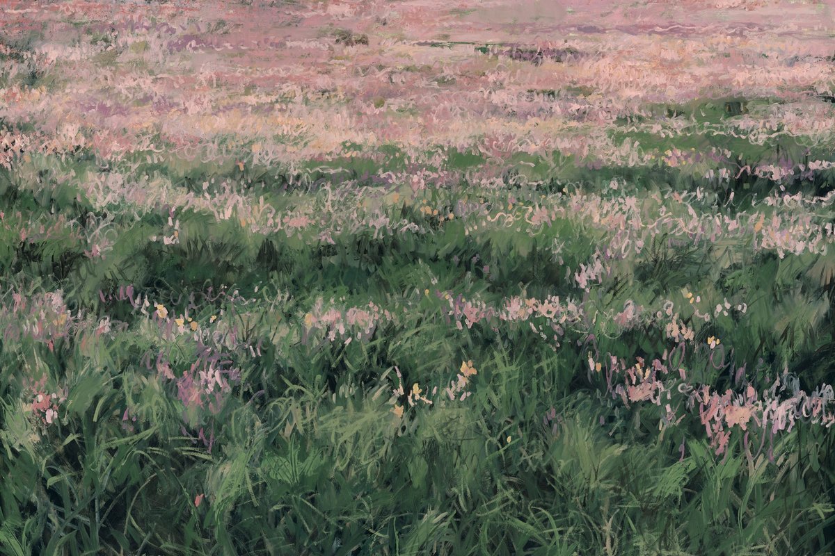 Pinks In The Field