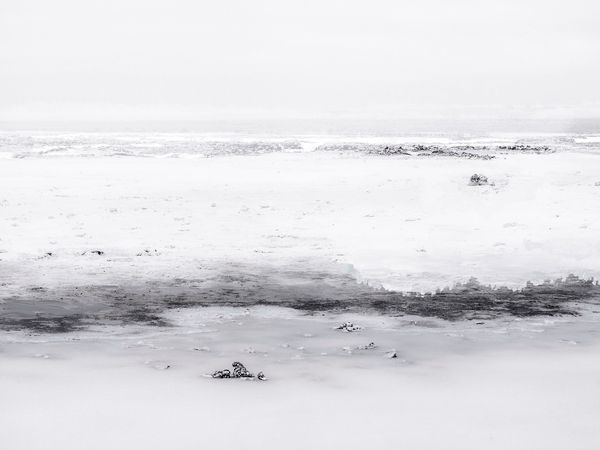 Bianco I