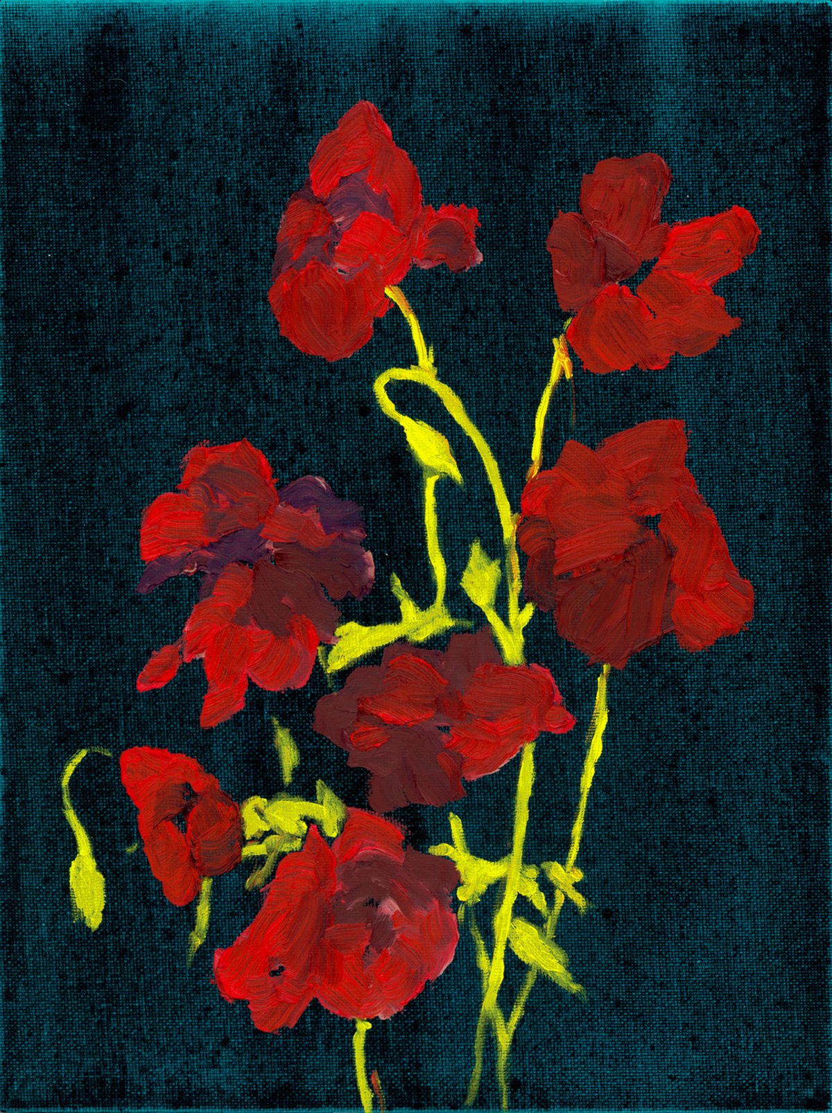 Night Poppies