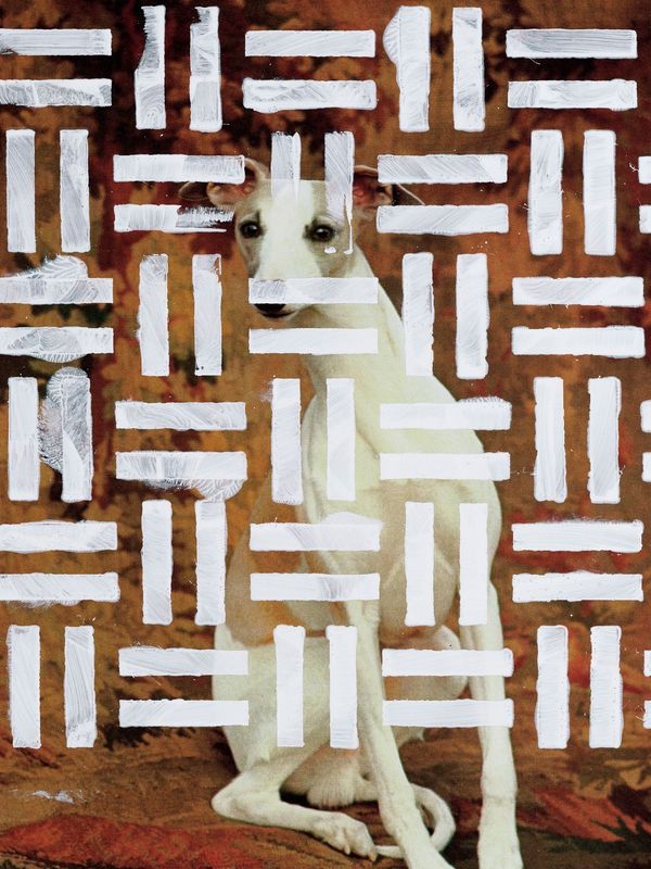 Hound