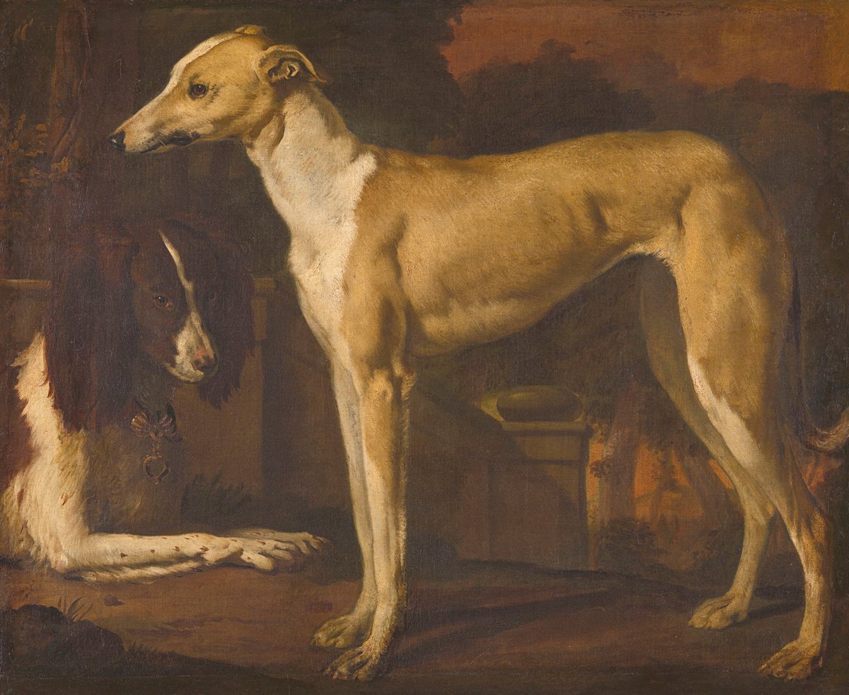 Portrait Of A Greyhound And A Partridge Dog