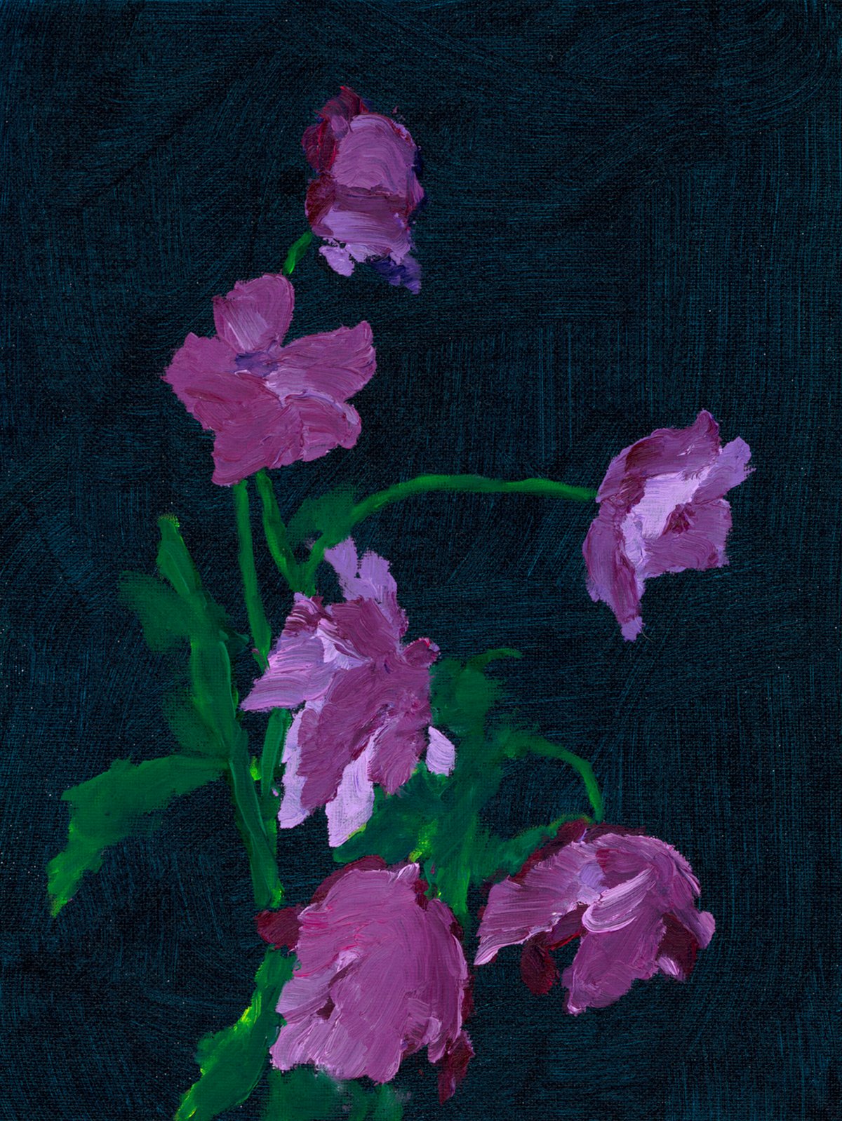 Sweet Peas