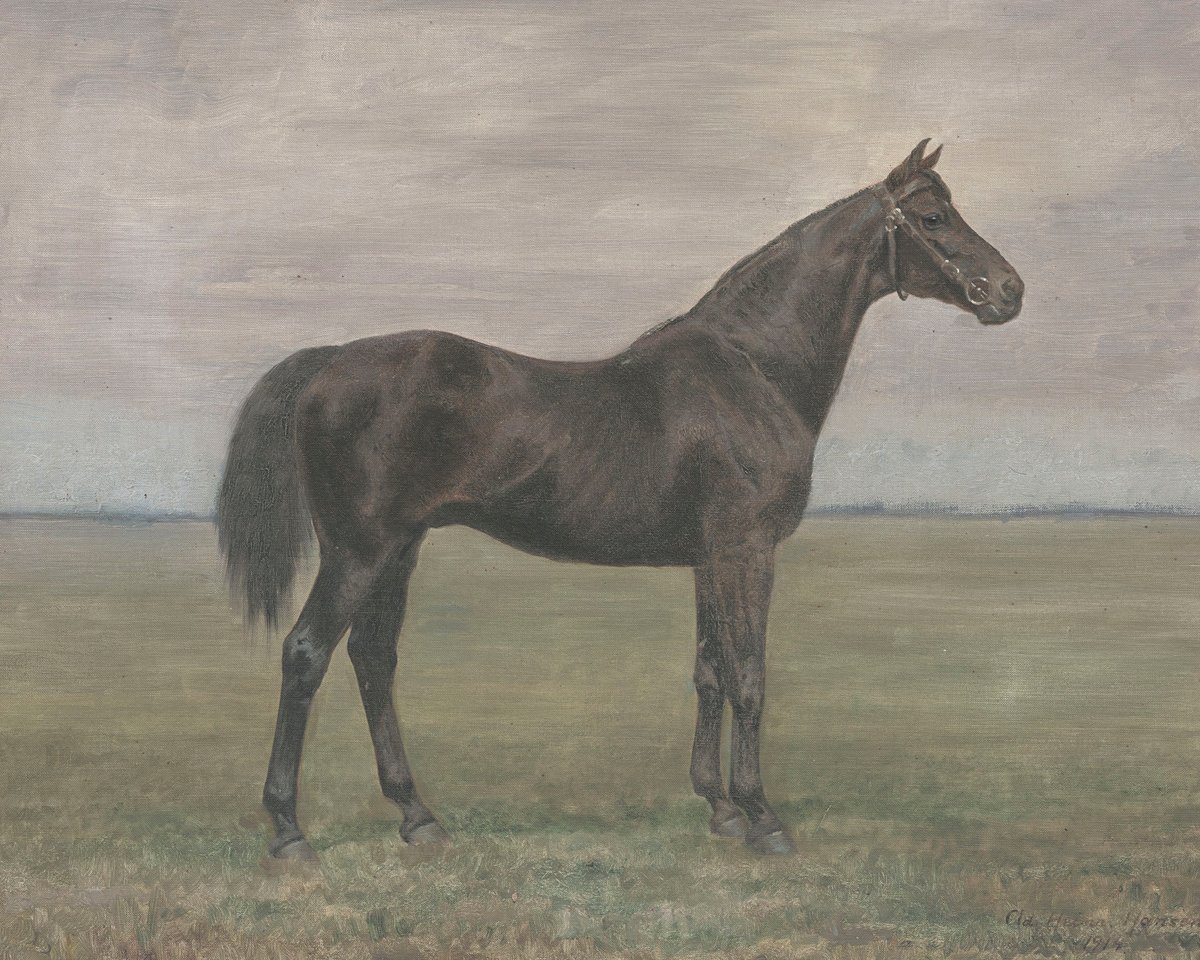 Black Horse