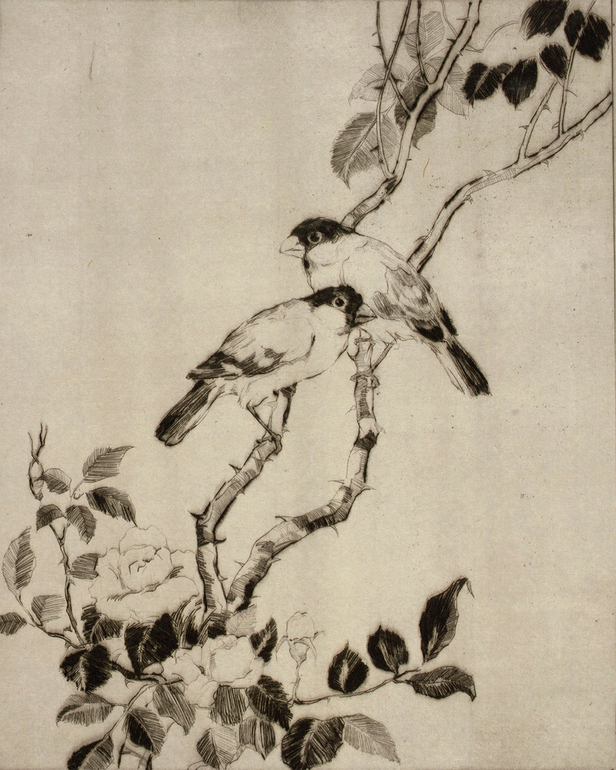 Young Couple
