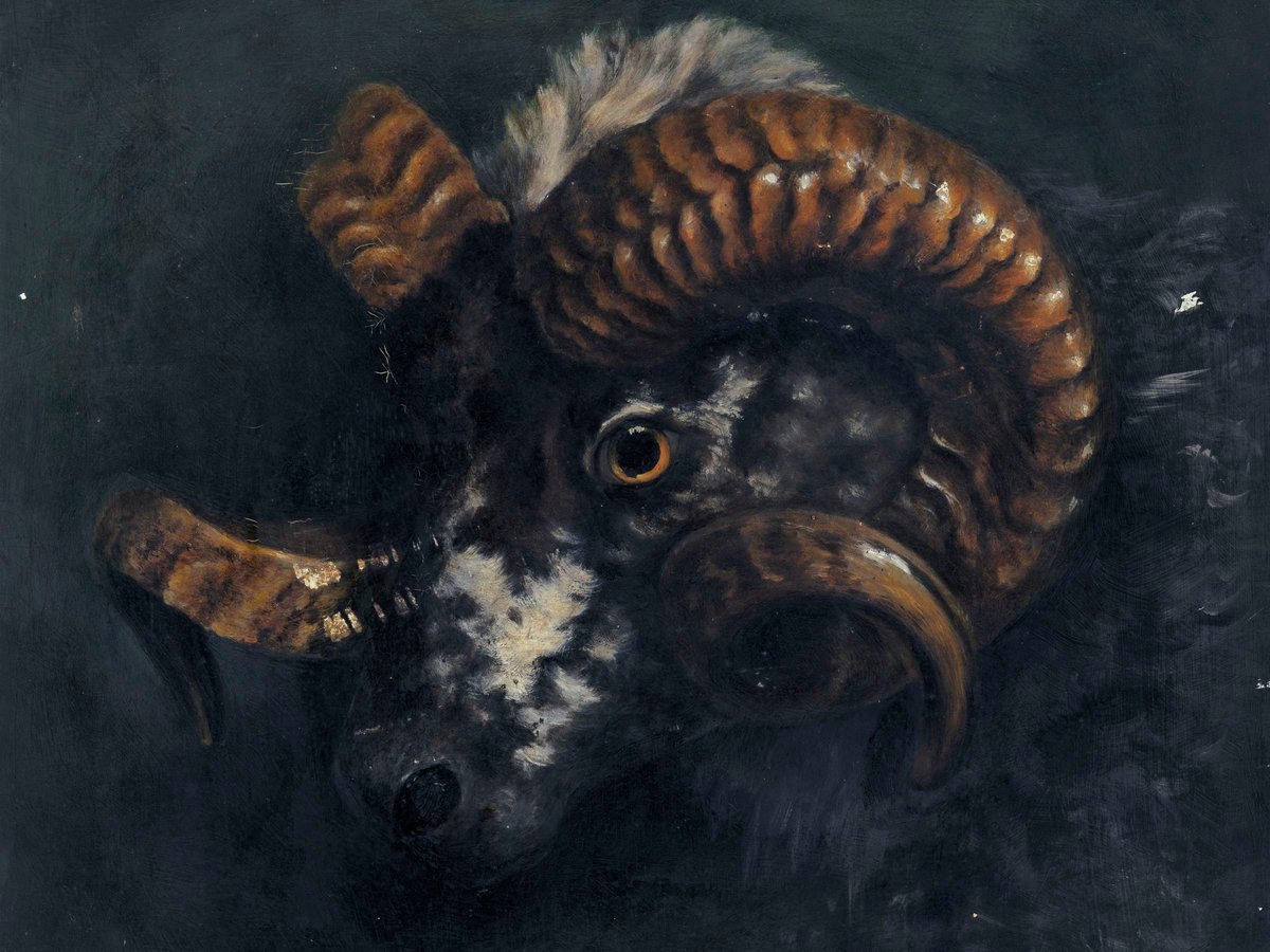 Horn